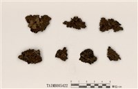 藏品(孔梅衣)的圖片